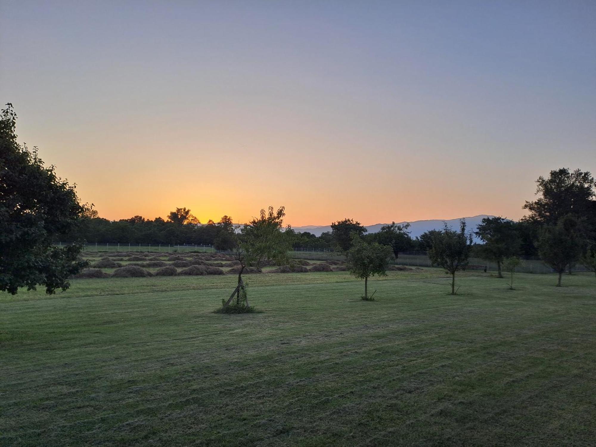 Azienda Agrituristica Ai Prai Castello Di Godego Extérieur photo